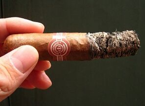 The harmful effects of cigars for health